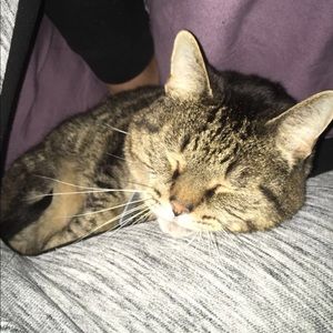 Meet your Posher, Felicia